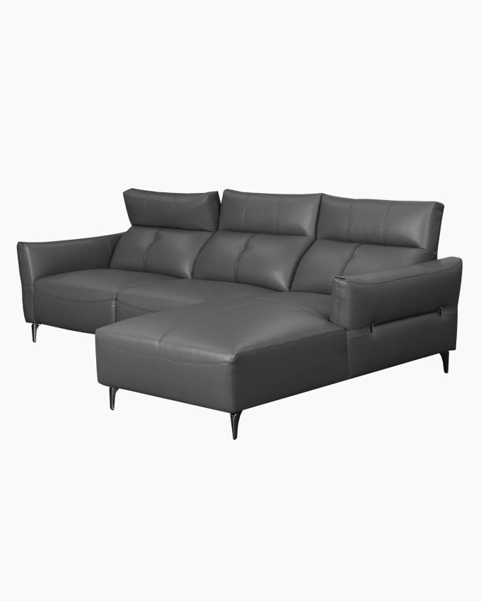 Dave Sectional Sofa